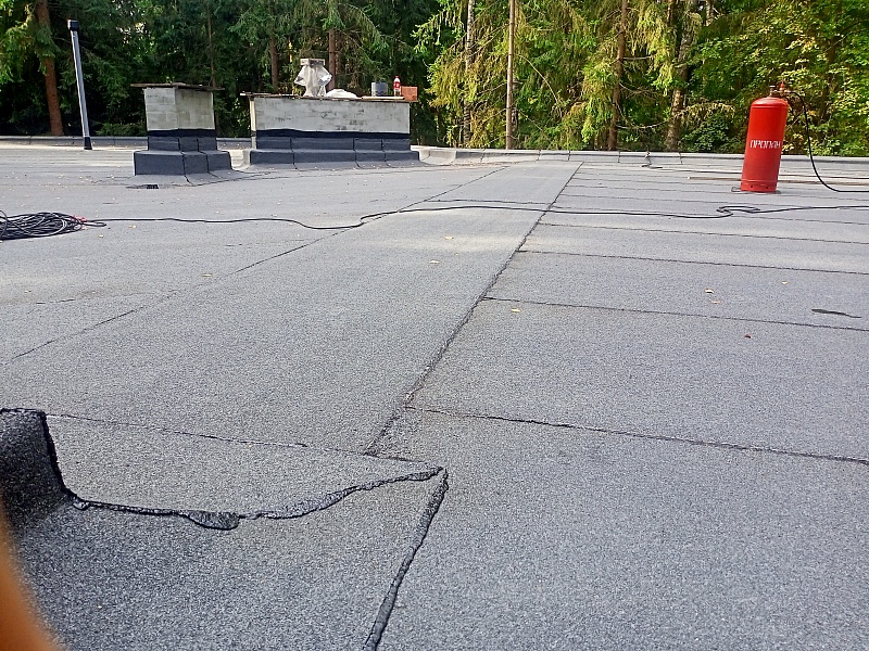 Photo-31