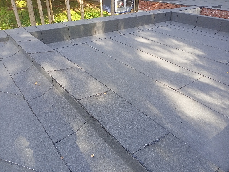 Photo-5